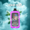 fumot-randm-digital-monkey-20000-40000-miami-mint miami-mint-randm-fumot-digital-monkey-20000-40000