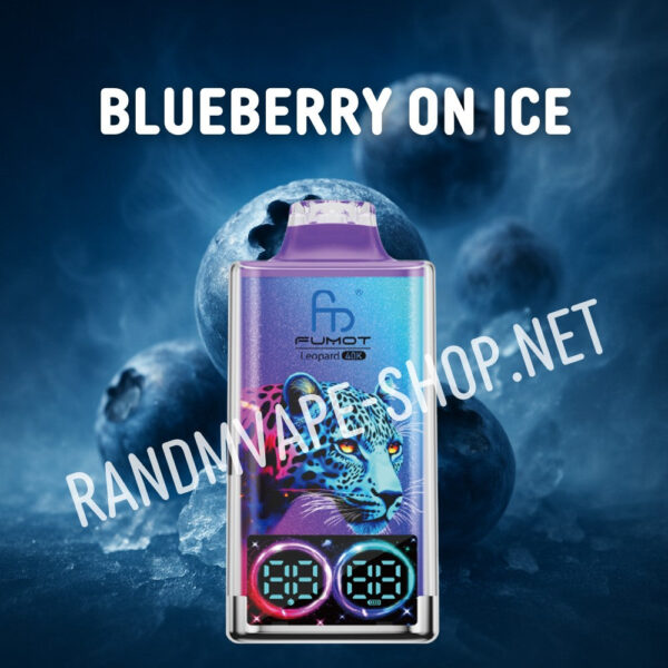 randm-vape-40000-blueberry-on-ice