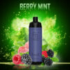 randm_tornado_shisha_10000_berry_mint randm-shisha-10000-berry-mint