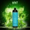 randm_tornado_shisha_10000_mint randm-shisha-10000-mint